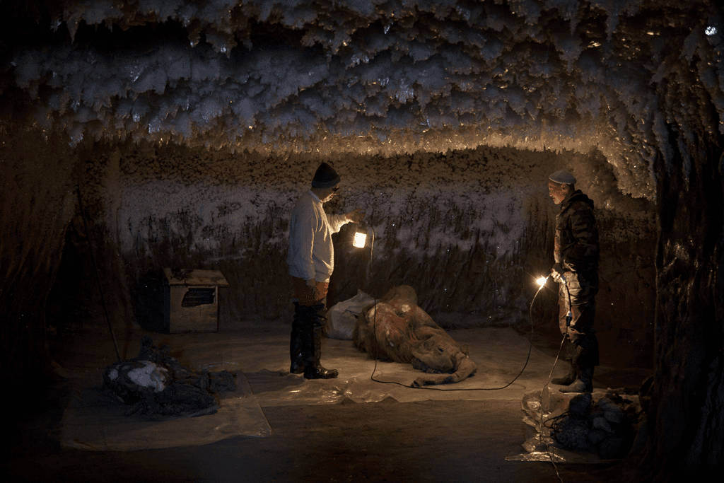 Monsieur Pak dans la grotte avec le mammouth Yuka