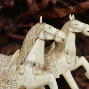 Duo de chevaux caparaçonnés